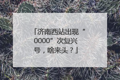 济南西站出现“0000”次复兴号，啥来头？