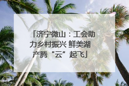 济宁微山：工会助力乡村振兴 鲜美湖产腾“云”起飞