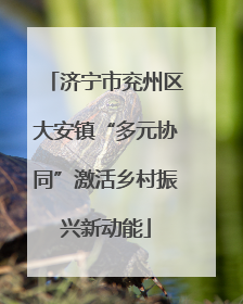 济宁市兖州区大安镇“多元协同”激活乡村振兴新动能
