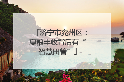 济宁市兖州区：夏粮丰收背后有“智慧田管”