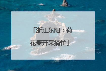 浙江东阳：荷花盛开采摘忙