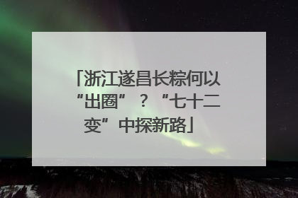 浙江遂昌长粽何以“出圈”？“七十二变”中探新路
