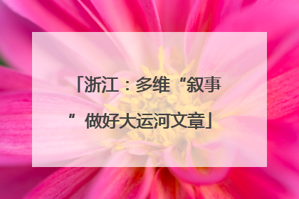 浙江：多维“叙事”做好大运河文章
