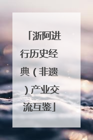 浙阿进行历史经典（非遗）产业交流互鉴
