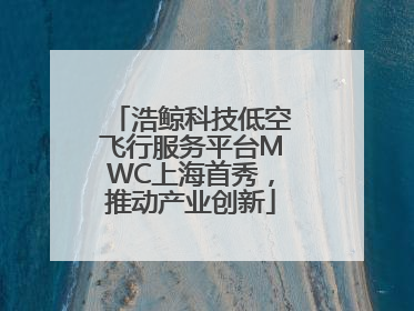 浩鲸科技低空飞行服务平台MWC上海首秀，推动产业创新