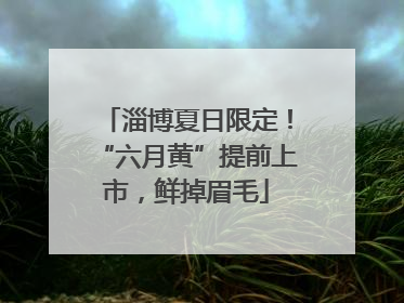 淄博夏日限定！“六月黄”提前上市，鲜掉眉毛