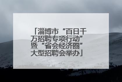 淄博市“百日千万招聘专项行动”暨“省会经济圈”大型招聘会举办