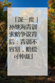 深一度｜孙继海青训索赔争议背后：青训不容易，赔偿可仲裁