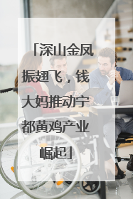 深山金凤振翅飞，钱大妈推动宁都黄鸡产业崛起