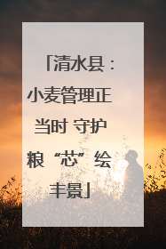 清水县：小麦管理正当时 守护粮“芯”绘丰景