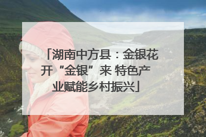湖南中方县：金银花开“金银”来 特色产业赋能乡村振兴