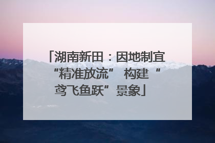 湖南新田：因地制宜“精准放流” 构建“鸢飞鱼跃”景象