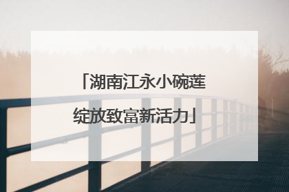 湖南江永小碗莲绽放致富新活力