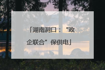 湖南洞口：“政企联合”保供电