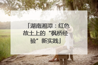 湖南湘潭：红色故土上的“枫桥经验”新实践