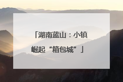湖南蓝山：小镇崛起“箱包城”