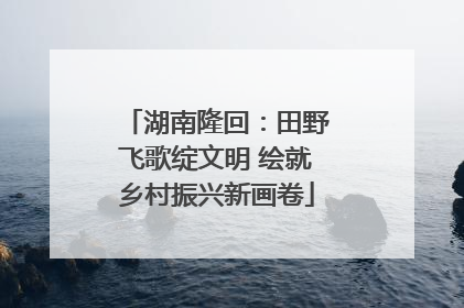 湖南隆回：田野飞歌绽文明 绘就乡村振兴新画卷