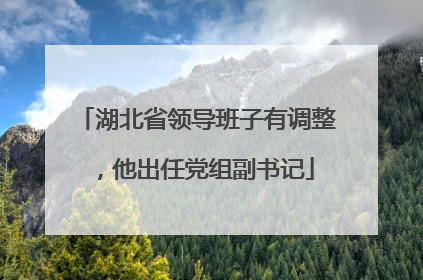 湖北省领导班子有调整，他出任党组副书记