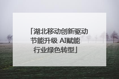 湖北移动创新驱动节能升级 AI赋能行业绿色转型