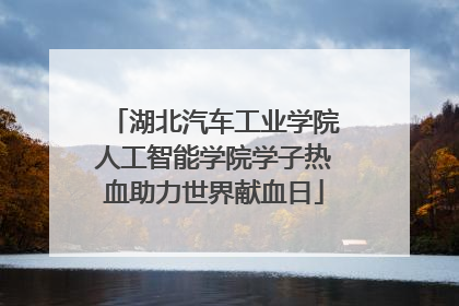 湖北汽车工业学院人工智能学院学子热血助力世界献血日