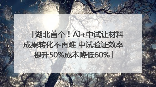 湖北首个！AI+中试让材料成果转化不再难 中试验证效率提升50%成本降低60%