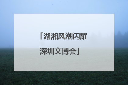 湖湘风潮闪耀深圳文博会