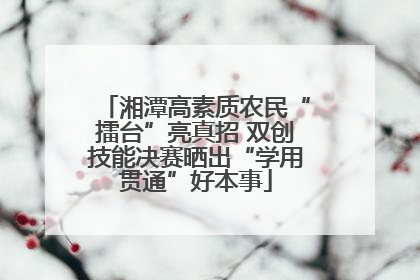 湘潭高素质农民“擂台”亮真招 双创技能决赛晒出“学用贯通”好本事