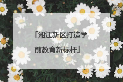 湘江新区打造学前教育新标杆