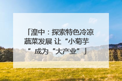 湟中：探索特色冷凉蔬菜发展 让“小菊芋”成为“大产业”