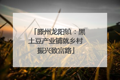 滕州龙阳镇：黑土豆产业铺就乡村振兴致富路