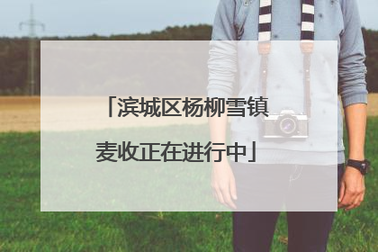 滨城区杨柳雪镇麦收正在进行中