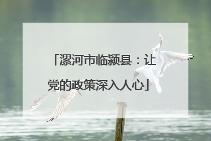 漯河市临颍县：让党的政策深入人心