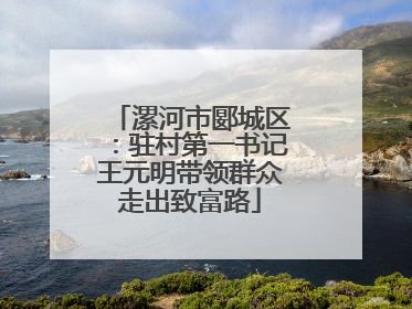 漯河市郾城区：驻村第一书记王元明带领群众走出致富路