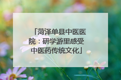 菏泽单县中医医院：研学游里感受中医药传统文化
