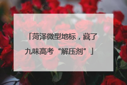 菏泽微型地标，藏了九味高考“解压剂”