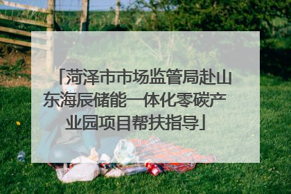 菏泽市市场监管局赴山东海辰储能一体化零碳产业园项目帮扶指导