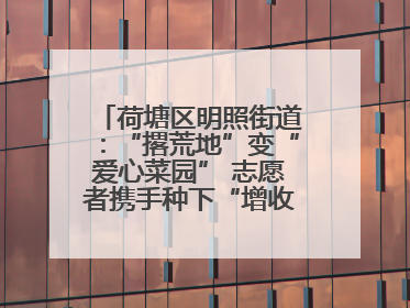 荷塘区明照街道：“撂荒地”变“爱心菜园” 志愿者携手种下“增收希望”