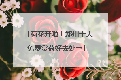 荷花开啦！郑州十大免费赏荷好去处→