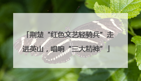 荆楚“红色文艺轻骑兵”走进英山，唱响“三大精神”