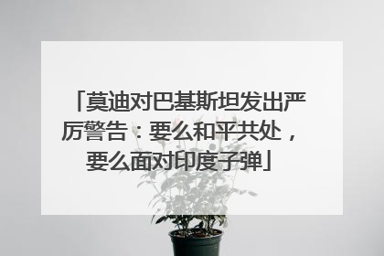 莫迪对巴基斯坦发出严厉警告：要么和平共处，要么面对印度子弹