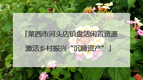 莱西市河头店镇盘活闲置资源 激活乡村振兴“沉睡资产”