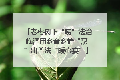 老枣树下“唠”法治 临泽用乡音乡情“烹”出普法“暖心宴”