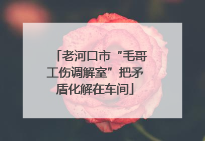 老河口市“毛哥工伤调解室”把矛盾化解在车间