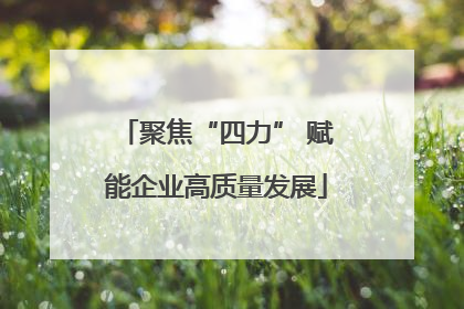 聚焦“四力” 赋能企业高质量发展
