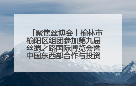 聚焦丝博会丨榆林市榆阳区组团参加第九届丝绸之路国际博览会暨中国东西部合作与投资贸易洽谈会