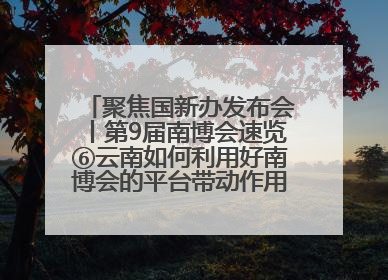 聚焦国新办发布会丨第9届南博会速览⑥云南如何利用好南博会的平台带动作用，深化与南亚国家的交流与合作？