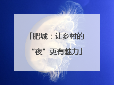 肥城：让乡村的“夜”更有魅力