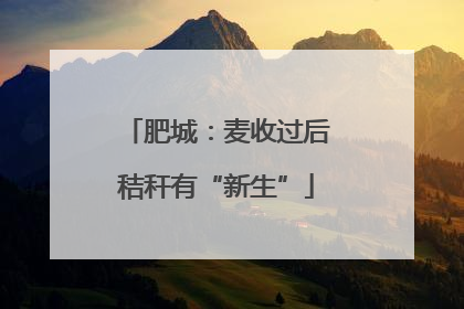 肥城：麦收过后秸秆有“新生”