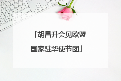 胡昌升会见欧盟国家驻华使节团