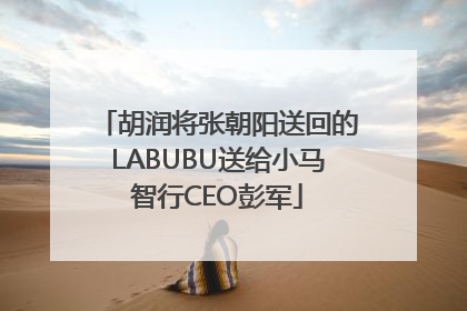 胡润将张朝阳送回的LABUBU送给小马智行CEO彭军